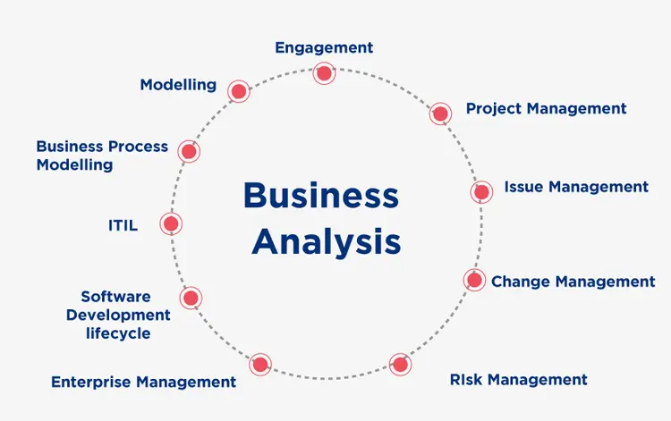 Project Management & Business Development